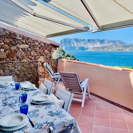公寓 Punta Est - Trilo Lavanda Terrazza & Piscina 卡珀科达卡瓦洛